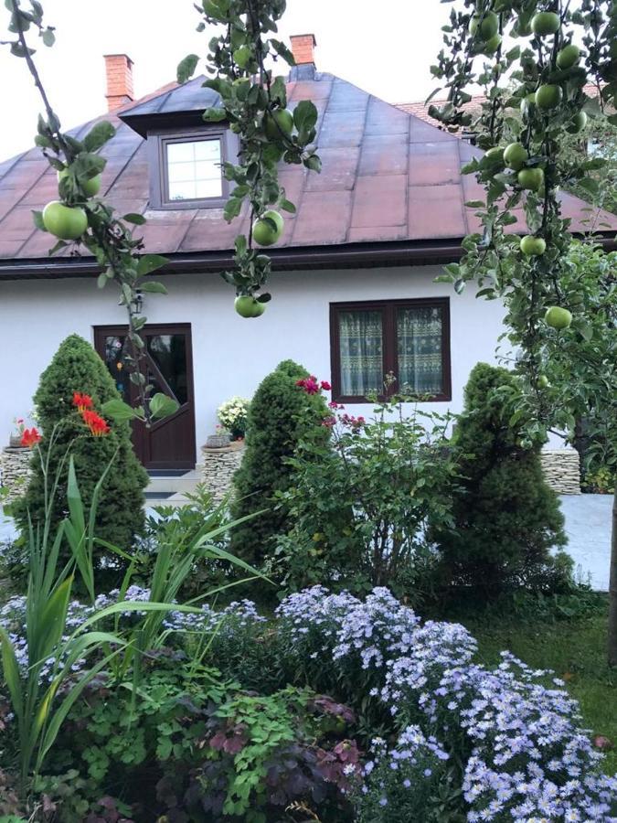 Casa Maria Villa Bran  Eksteriør bilde
