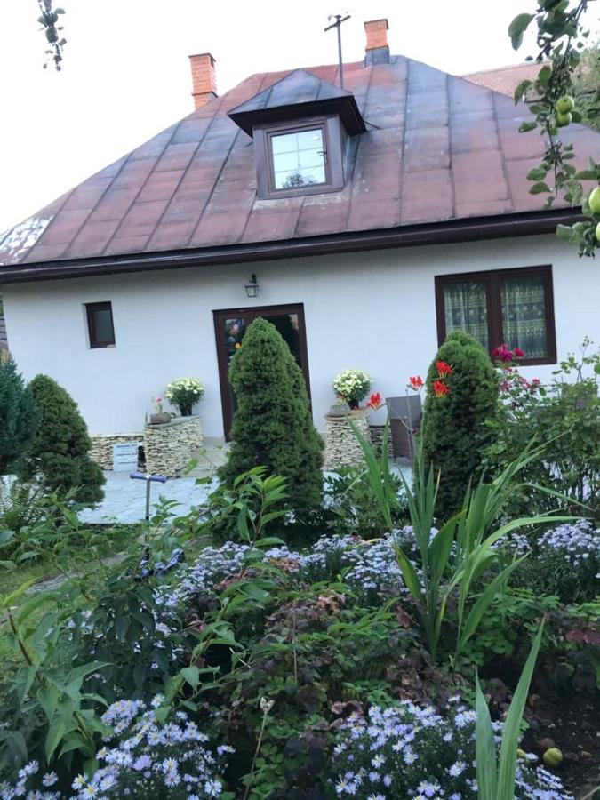 Casa Maria Villa Bran  Eksteriør bilde