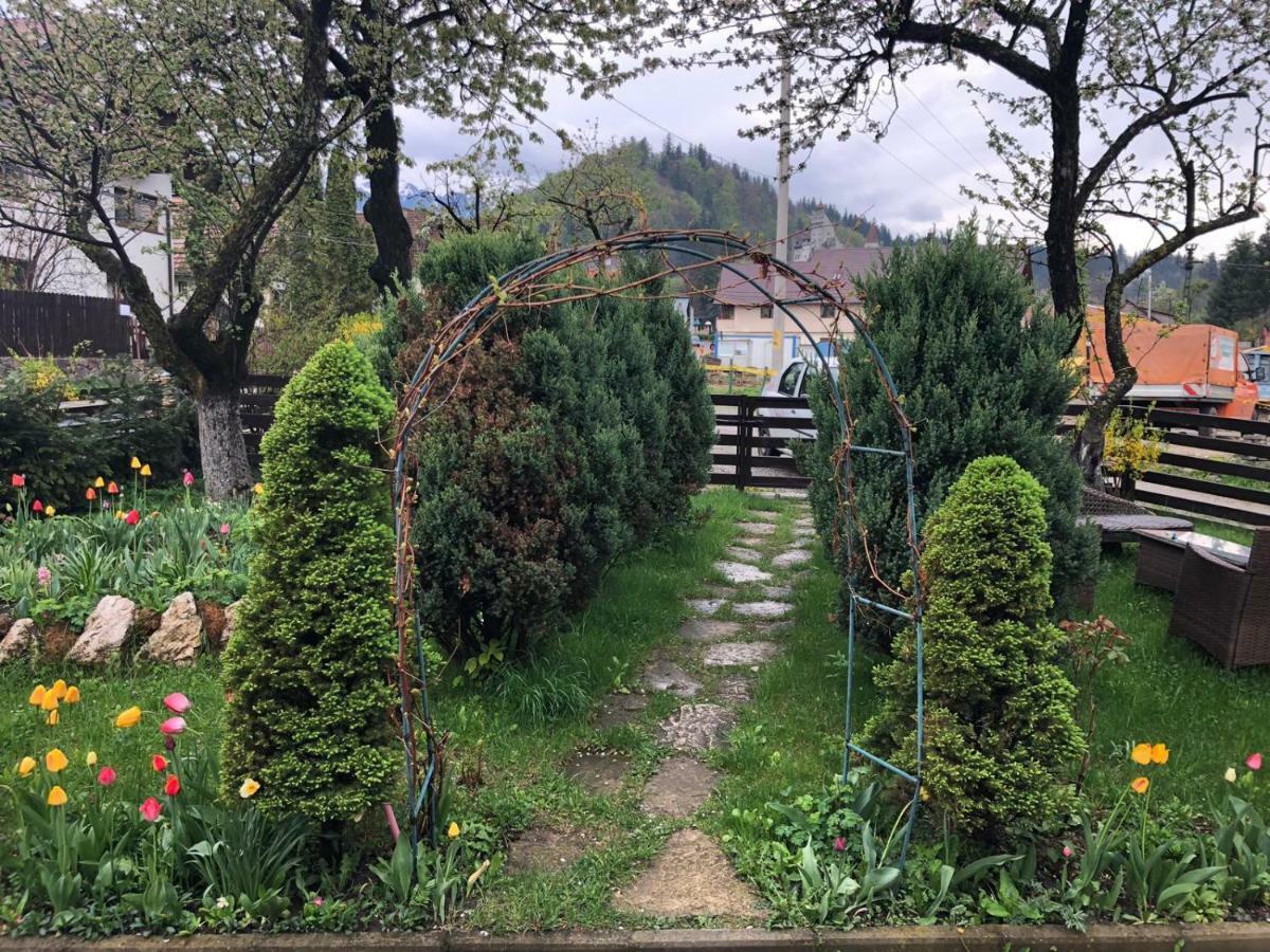 Casa Maria Villa Bran  Eksteriør bilde