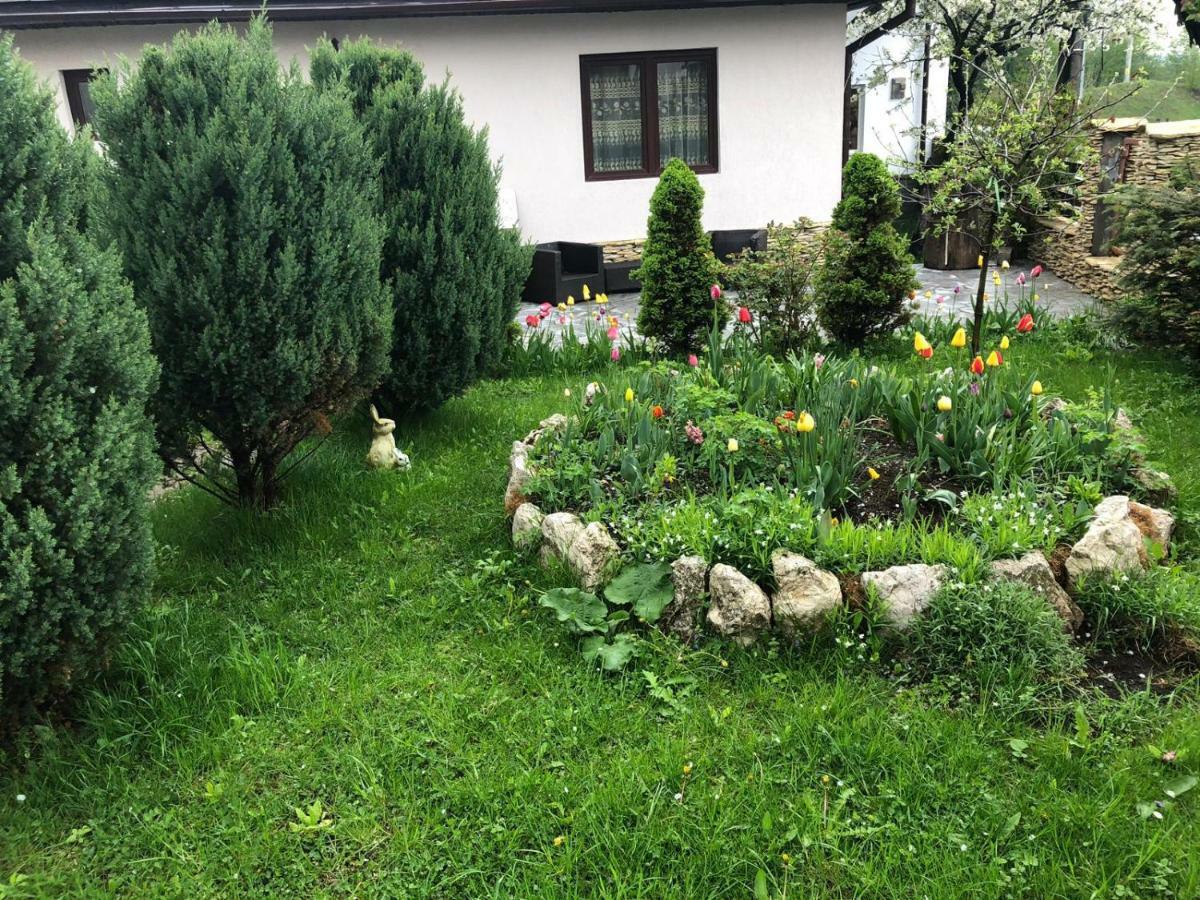 Casa Maria Villa Bran  Eksteriør bilde
